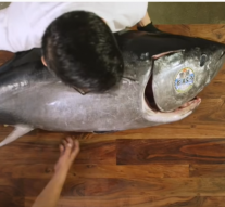 How a Master Sushi Chef Butchers a 250 Pound Bluefin Tuna